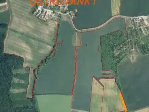 Prodej pole, Ostrovánky, 1633 m2