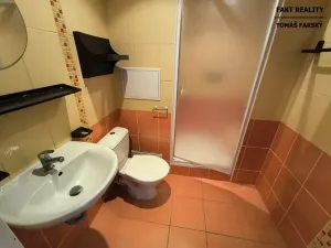 Pronájem bytu 1+kk, Děčín, Želenická, 25 m2
