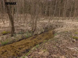 Prodej pozemku pro bydlení, Červená Voda, 1100 m2