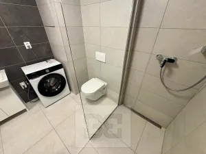 Pronájem bytu 1+kk, Brno, Spolková, 35 m2