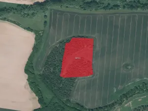 Prodej lesa, Střelské Hoštice, 10064 m2