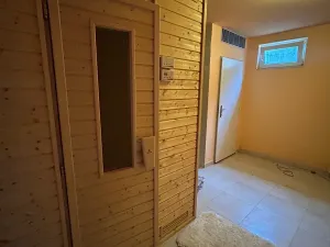 Pronájem rodinného domu, Písek, V Lukách, 400 m2
