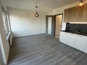 Pronájem bytu 1+kk, Praha - Chodov, Šternovská, 42 m2