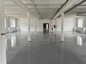 Pronájem skladu, Ostrov, 130 m2