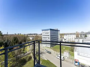 Pronájem bytu 3+1, Praha - Žižkov, Pod kapličkou, 98 m2