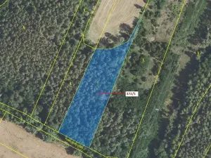 Dražba lesa, Přílepy, 7060 m2