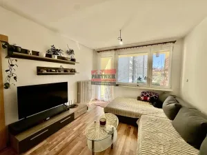 Prodej bytu 3+1, Veselí nad Lužnicí, Blatské sídliště, 78 m2