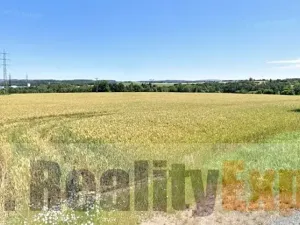 Pronájem výrobních prostor, Soutice, 5620 m2