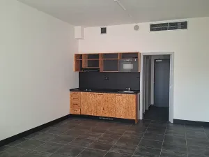 Pronájem bytu 1+kk, Praha, Pod altánem, 44 m2