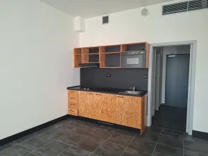 Pronájem bytu 1+kk, Praha, Pod altánem, 44 m2