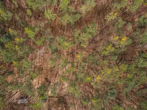 Prodej pozemku pro bydlení, Hradištko, Kersko, 4428 m2