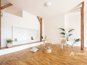 Prodej bytu 6+kk a větší, Brno, Čápkova, 209 m2