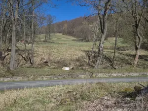 Prodej chaty, Sokolov, 47 m2