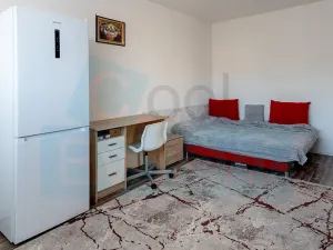 Prodej bytu 1+1, Praha - Troja, Krynická, 29 m2