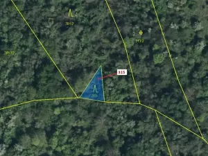 Dražba lesa, Podhořany u Ronova, 129 m2