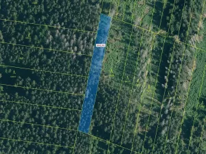 Dražba lesa, Prachatice, 2039 m2