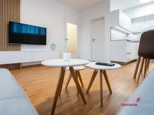 Pronájem bytu 2+kk, Hradec Králové - Nový Hradec Králové, Antonína Petrofa, 50 m2