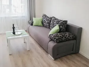 Pronájem bytu 2+kk, Praha - Žižkov, Pod lipami, 54 m2