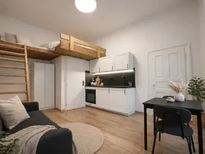 Pronájem bytu 1+kk, Praha - Vinohrady, Velehradská, 25 m2