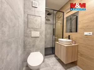 Prodej bytu 1+kk, České Budějovice - České Budějovice 3, Plzeňská, 21 m2