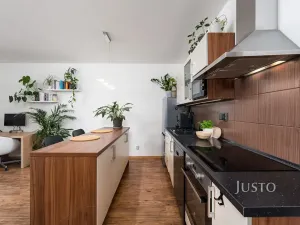Prodej bytu 1+kk, České Budějovice, Husova tř., 36 m2