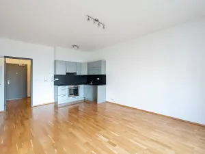 Pronájem bytu 2+kk, Praha - Vinohrady, Korunní, 57 m2