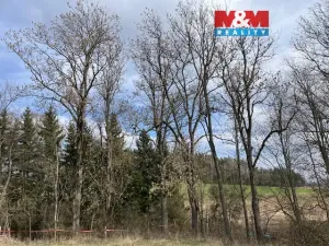 Prodej lesa, Košťálov - Kundratice, 11072 m2