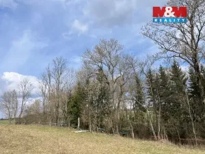 Prodej lesa, Košťálov - Kundratice, 11072 m2