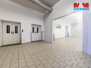 Pronájem obchodního prostoru, Nymburk, Jičínská, 320 m2