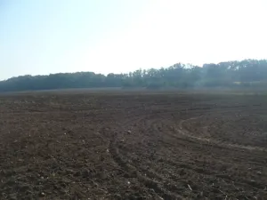 Prodej komerčního pozemku, Veltrusy, 55948 m2