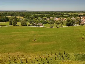 Prodej pozemku pro bydlení, Horní Stropnice, 8861 m2