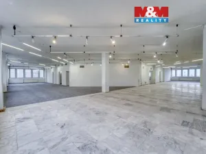 Pronájem obchodního prostoru, Plzeň - Severní Předměstí, alej Svobody, 641 m2