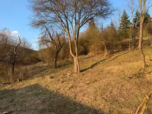 Prodej rodinného domu, Lelekovice, Zahumení, 151 m2