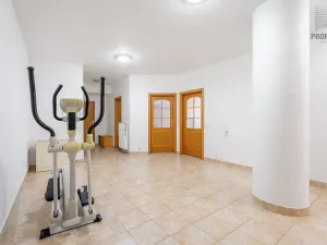 Prodej bytu 4+kk, Brno, Mojžíšova, 171 m2