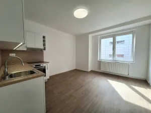 Pronájem bytu 3+kk, Brno - Staré Brno, Pekařská, 60 m2