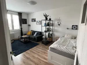 Prodej bytu 1+1, Ostrava, Opavská, 35 m2