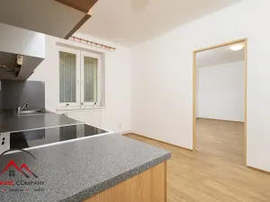 Pronájem bytu 1+1, Ostrava, Palackého, 41 m2