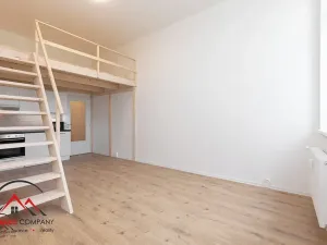 Pronájem bytu 1+kk, Ostrava, Palackého, 29 m2