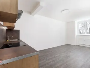Pronájem bytu 1+kk, Ostrava, Palackého, 30 m2