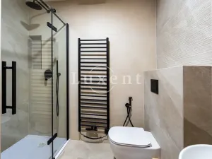 Prodej bytu 2+kk, Praha - Žižkov, Bořivojova, 64 m2