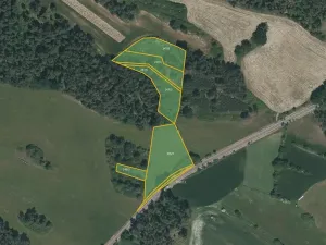 Prodej lesa, Horažďovice, 10763 m2