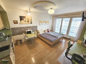 Pronájem bytu 1+kk, Praha - Košíře, Černochova, 30 m2