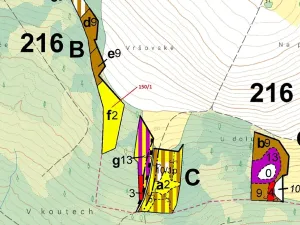 Dražba lesa, Krásné, 6169 m2