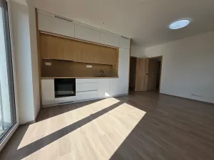 Pronájem bytu 2+kk, Frýdlant nad Ostravicí, Lubenská, 53 m2