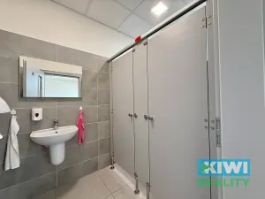 Pronájem kanceláře, Ostrava, Pavlovova, 16 m2