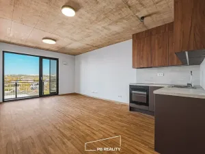 Pronájem bytu 1+kk, Plzeň, Kamenická, 34 m2