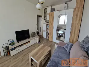 Prodej bytu 1+1, Uherský Brod, Partyzánů, 43 m2