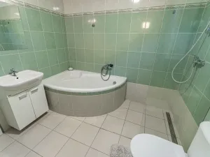 Prodej chaty, Hvožďany, 260 m2