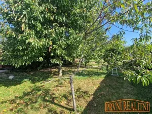 Prodej chalupy, Uherský Brod, Brodská, 378 m2