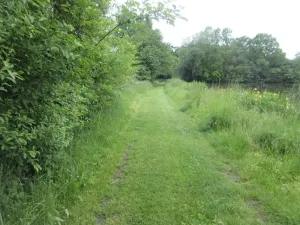 Prodej pozemku, Čížová, 2006 m2